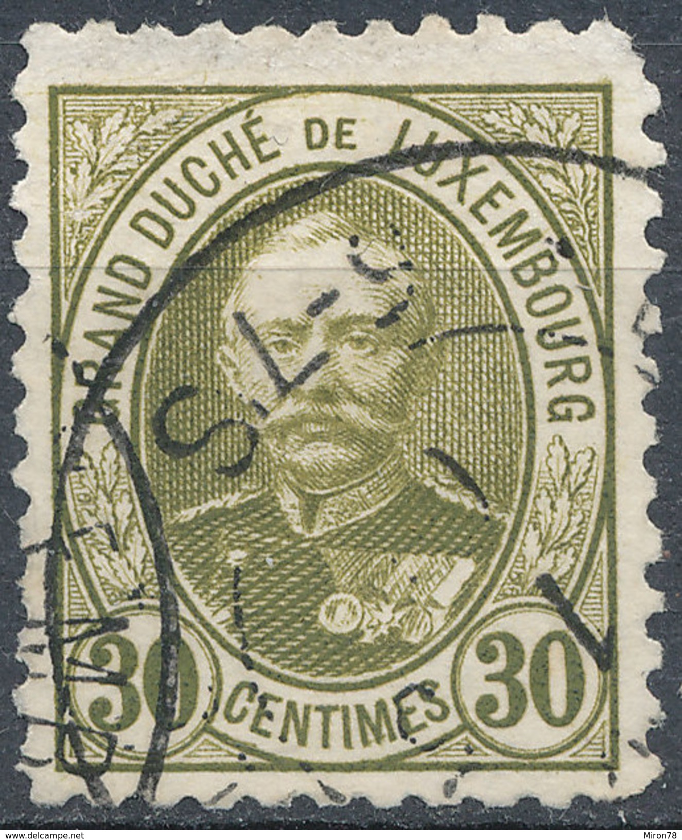 Stamp  Luxembourg 1891  30c Used Lot#78 - 1859-1880 Wappen & Heraldik