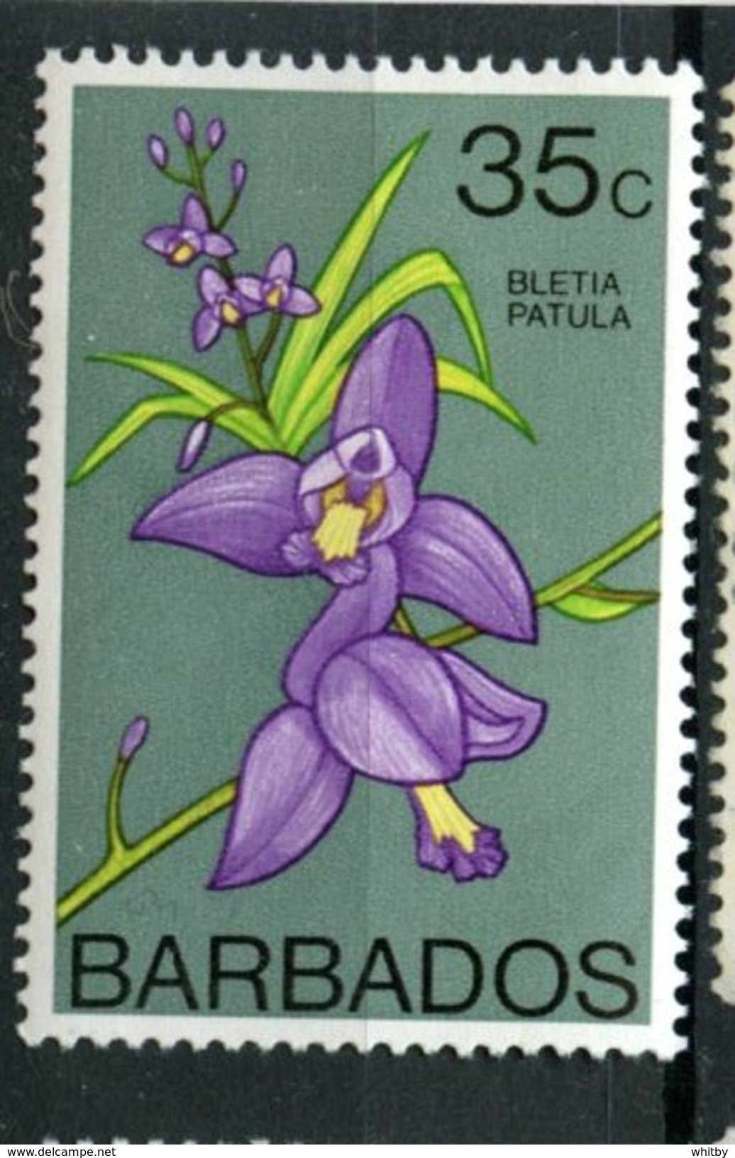 Barbados 1974  35 Cent Bletia Patula Issue #406  MH - Barbados (1966-...)