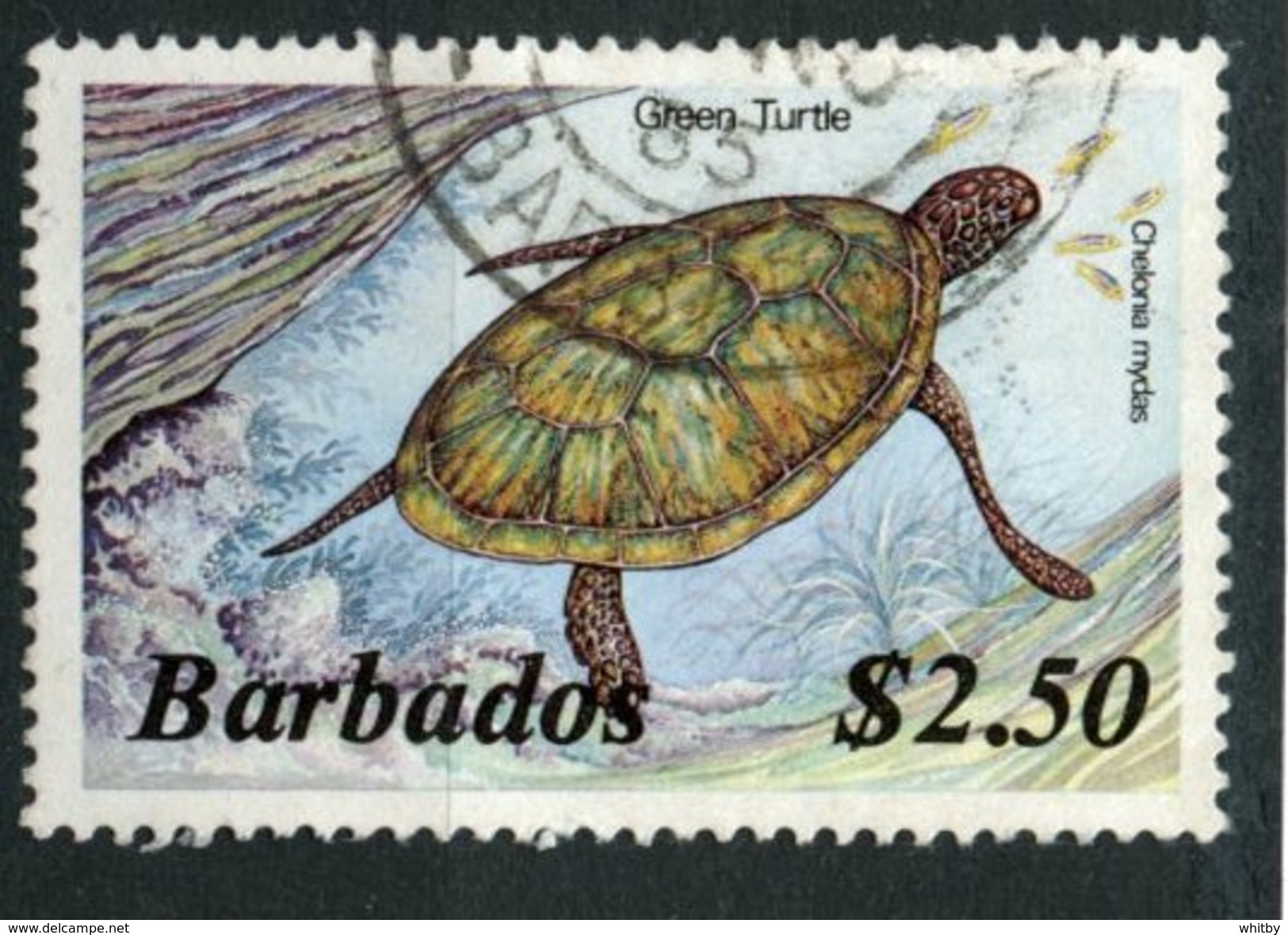 Barbados 1986  $2.50 Turtle Issue #657  Used - Barbados (1966-...)