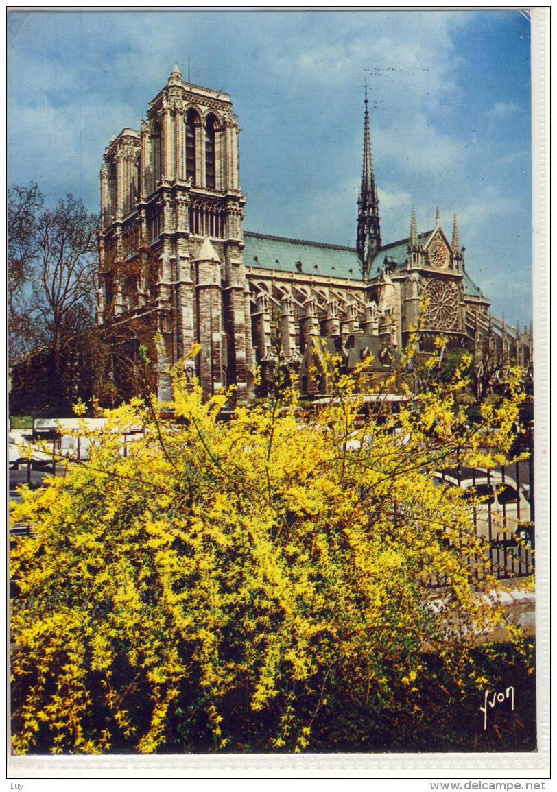 PARIS -  Notre-Dame,  1970,  Nice Stamp - Notre Dame De Paris