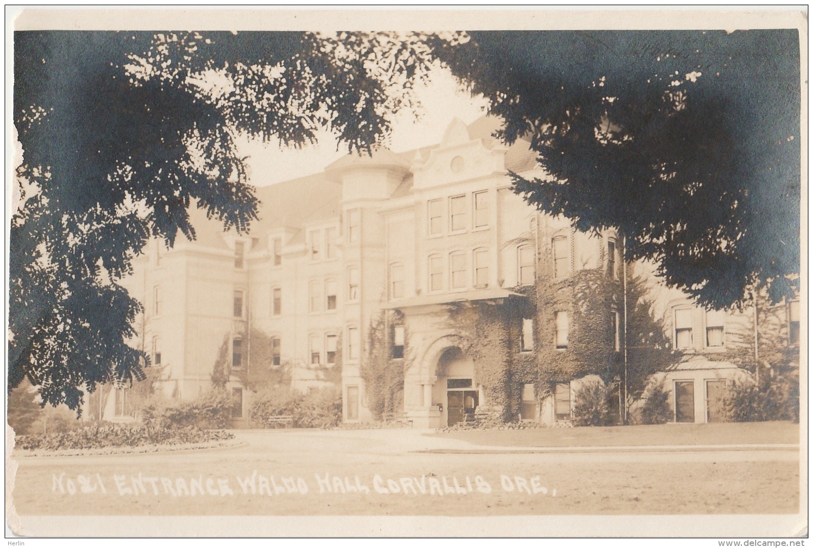 ETATS-UNIS - CORVALLIS - Waldo Hall ( Oregon State College ) - Université D'Etat De L'Oregon - Carte-photo - Autres & Non Classés