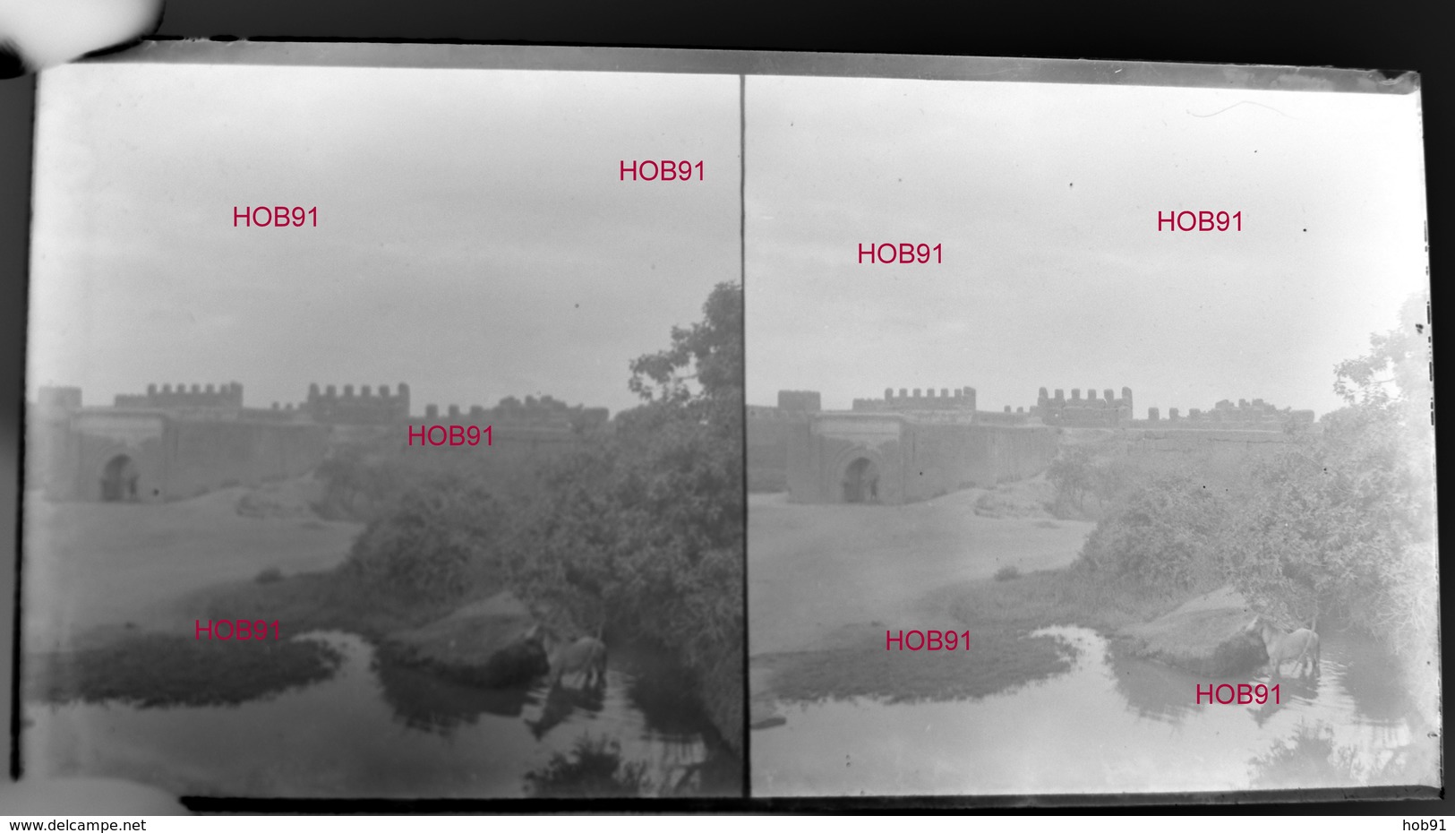 Cinq Plaques Stereo Neg 7x13, Maroc : Remparts De Taroudant (x2) + Divers (x3), Début 19e  (B513-2, Mar6) - Agricultura