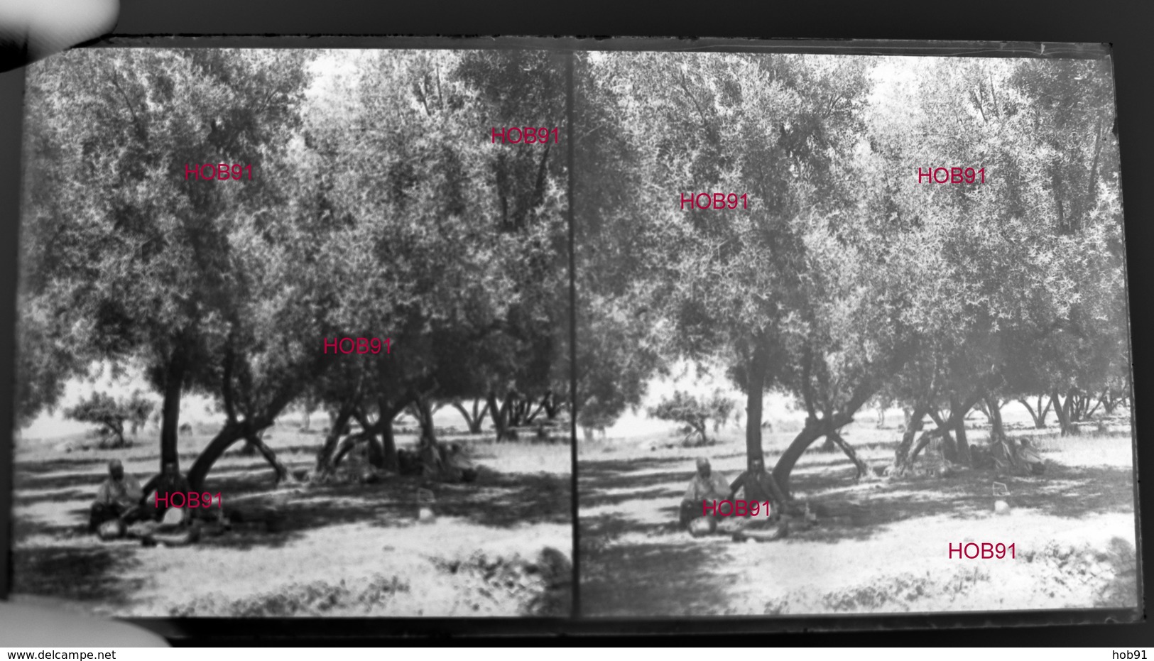 Cinq Plaques Stereo Neg 7x13, Maroc : Remparts De Taroudant (x2) + Divers (x3), Début 19e  (B513-2, Mar6) - Agricultura