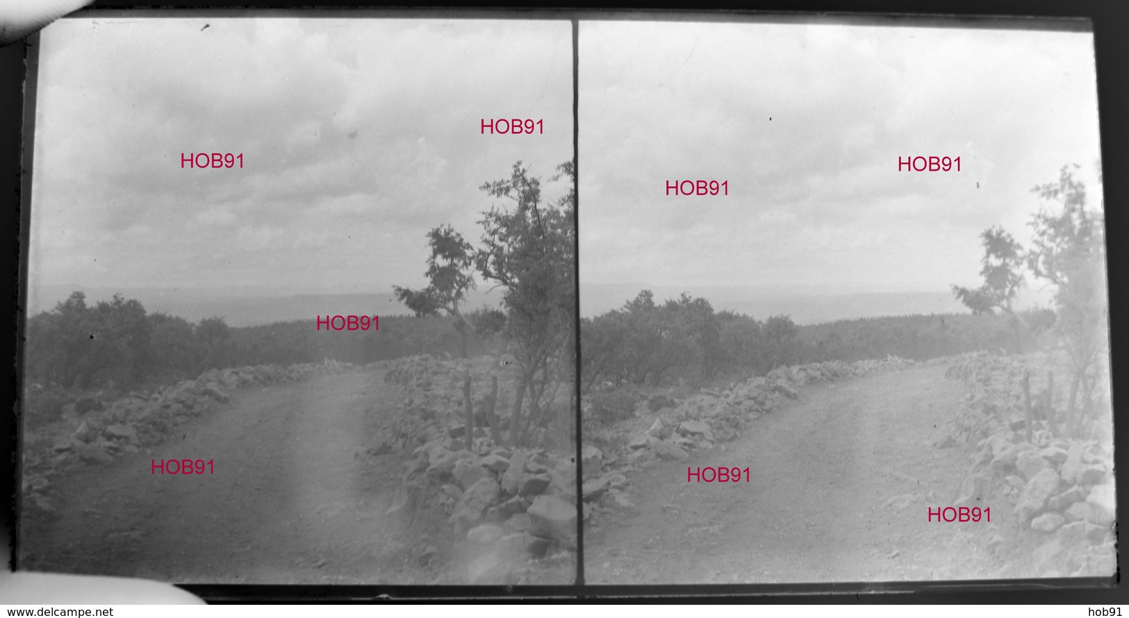 Six Plaques Stereo Neg 7x13, Maroc : Divers (dont Pied Du Pont Suspendu Ben Abbou), Début 19e  (B513-2, Mar9) - Farm