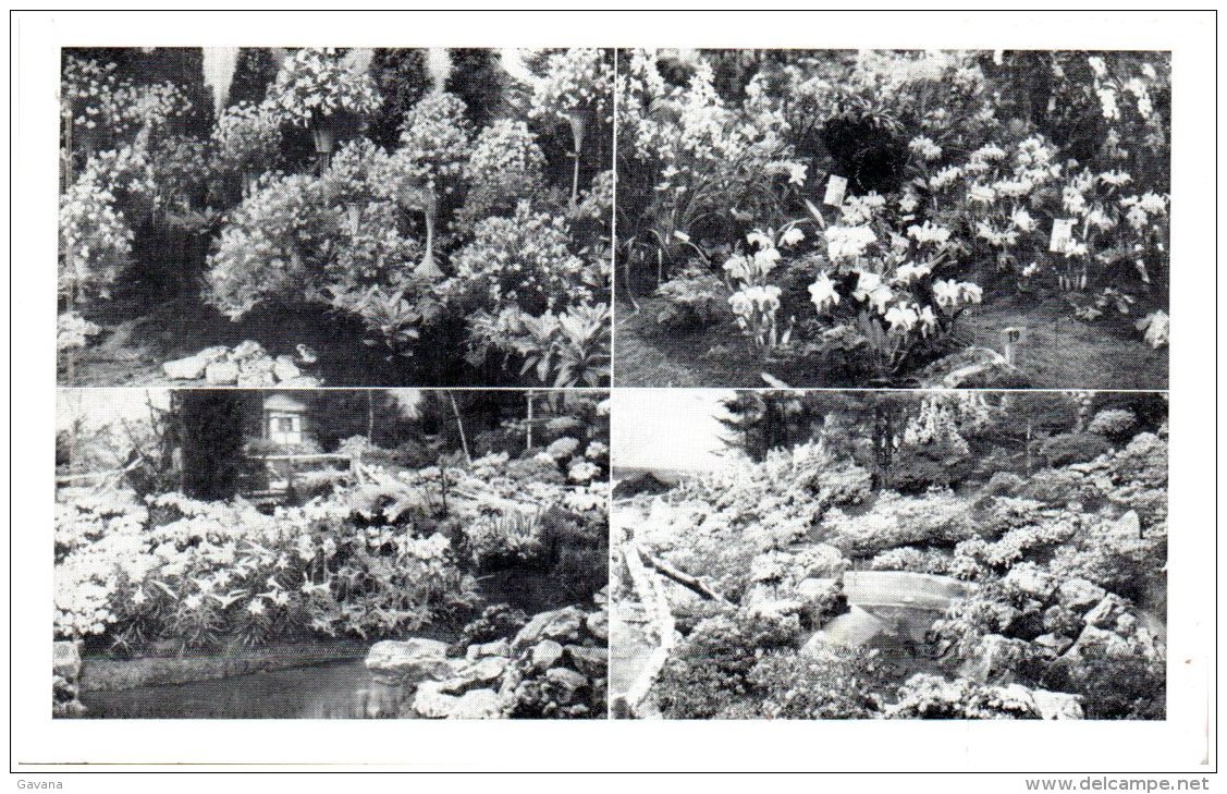 GENT - Floralies Gantoises 1955   (Recto/Verso) - Gent