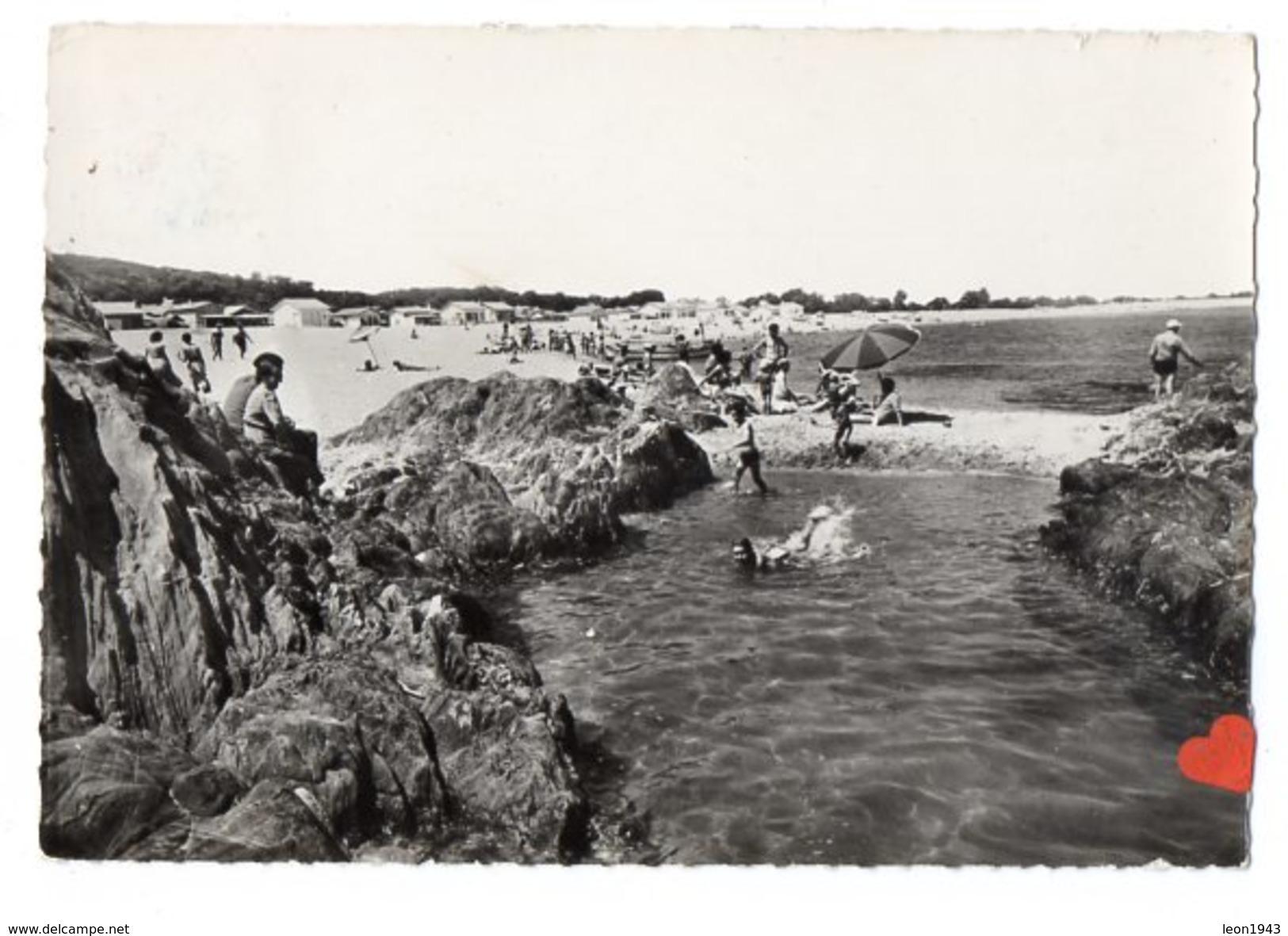 14775-LE-66-LA COTE VERMEILLE--La Plage Du Racou-Argelès-sur-Mer-----------animée - Argeles Sur Mer