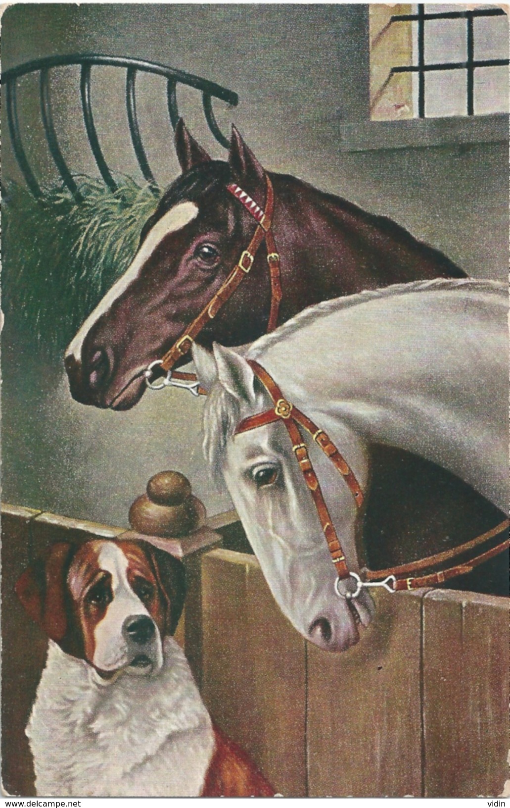 CHEVAL CHIEN - Chevaux