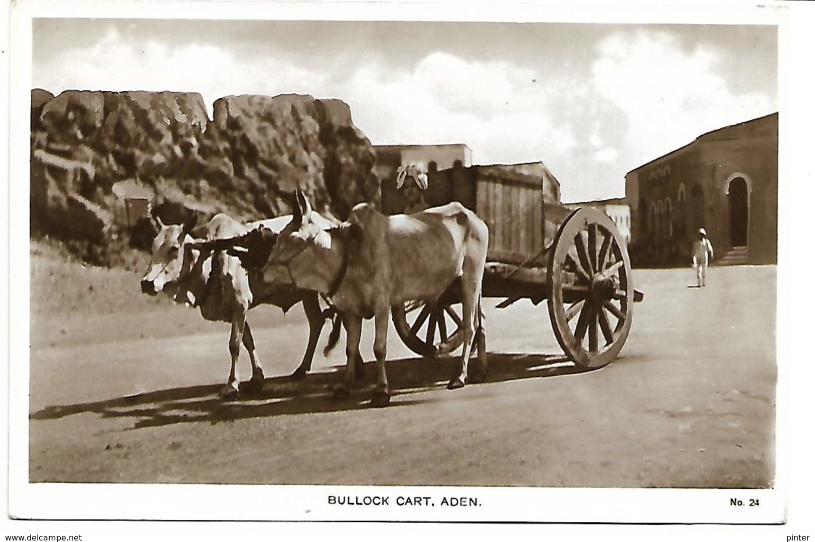 YEMEN - Bullock Cart, Aden - Yémen