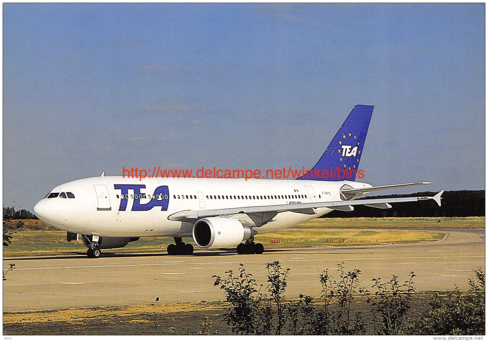 TEA - Airbus A310 - 1946-....: Moderne