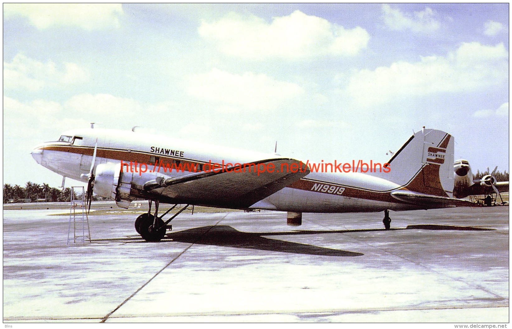 Shwanee Airlines - McDonnell Douglas DC-3 - 1946-....: Moderne