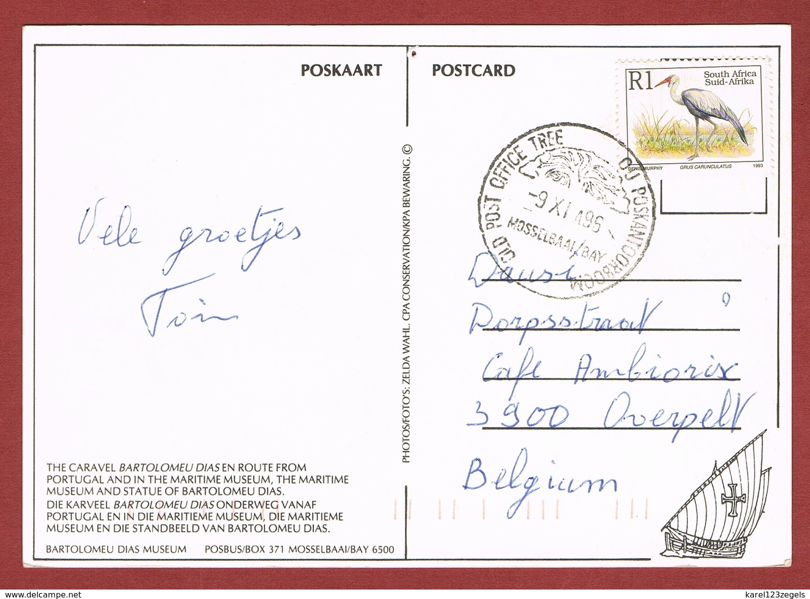 Old Post Office Tree,  Ou Postkantoorboom Stempel Zuid Afrika  Op Kaart 1996 - Post