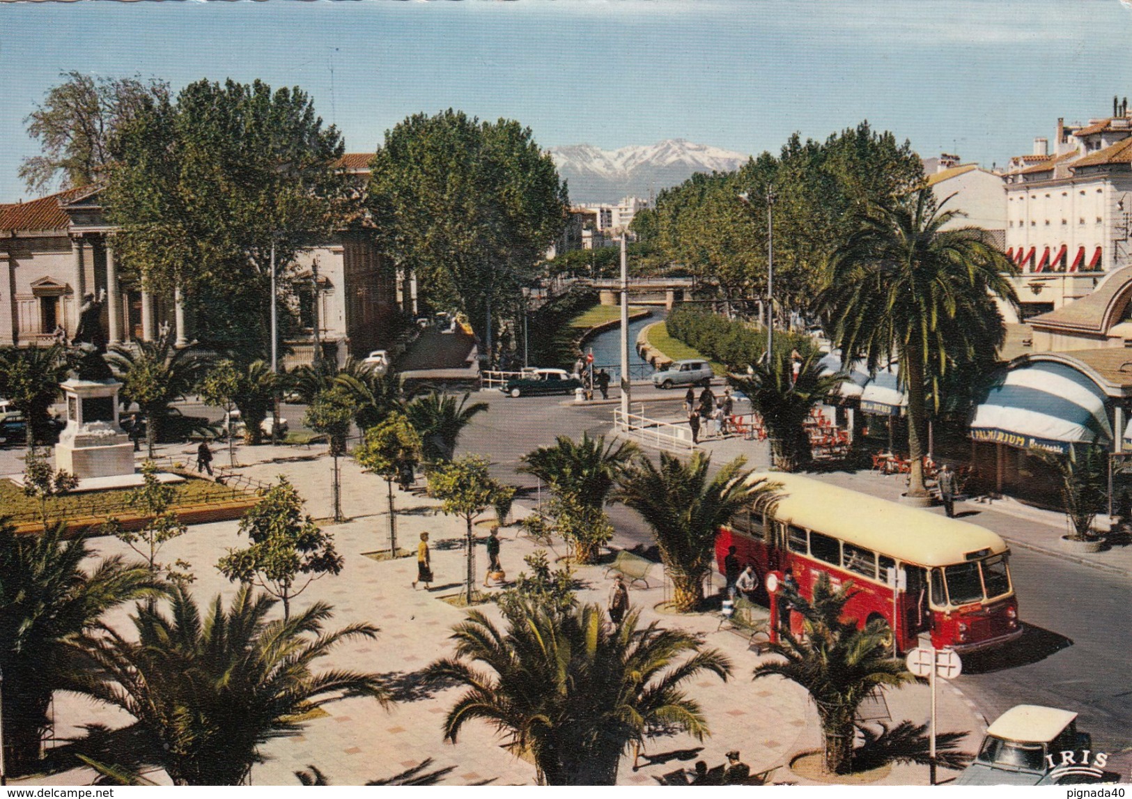 G , Cp , TRANSPORTS , PERPIGNAN , Place Arago, Les Quais De La Basse Et Le Palmarium - Buses & Coaches