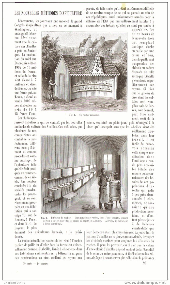 LES NOUVELLES METHODES D'APICULTURE  1893 - Nature