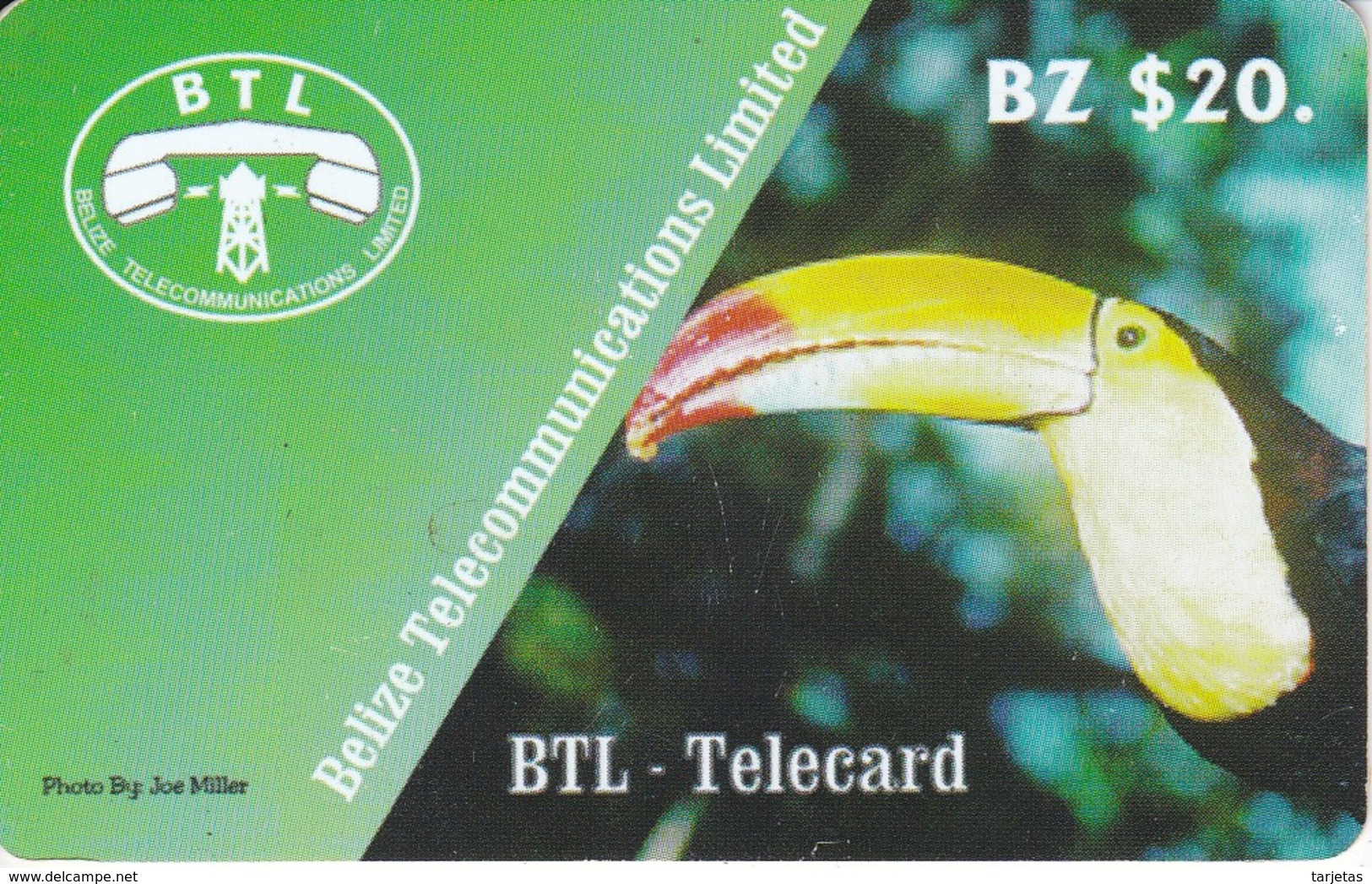 TARJETA DE BELICE DE UN TUCAN  (BIRD-PAJARO) - Belize