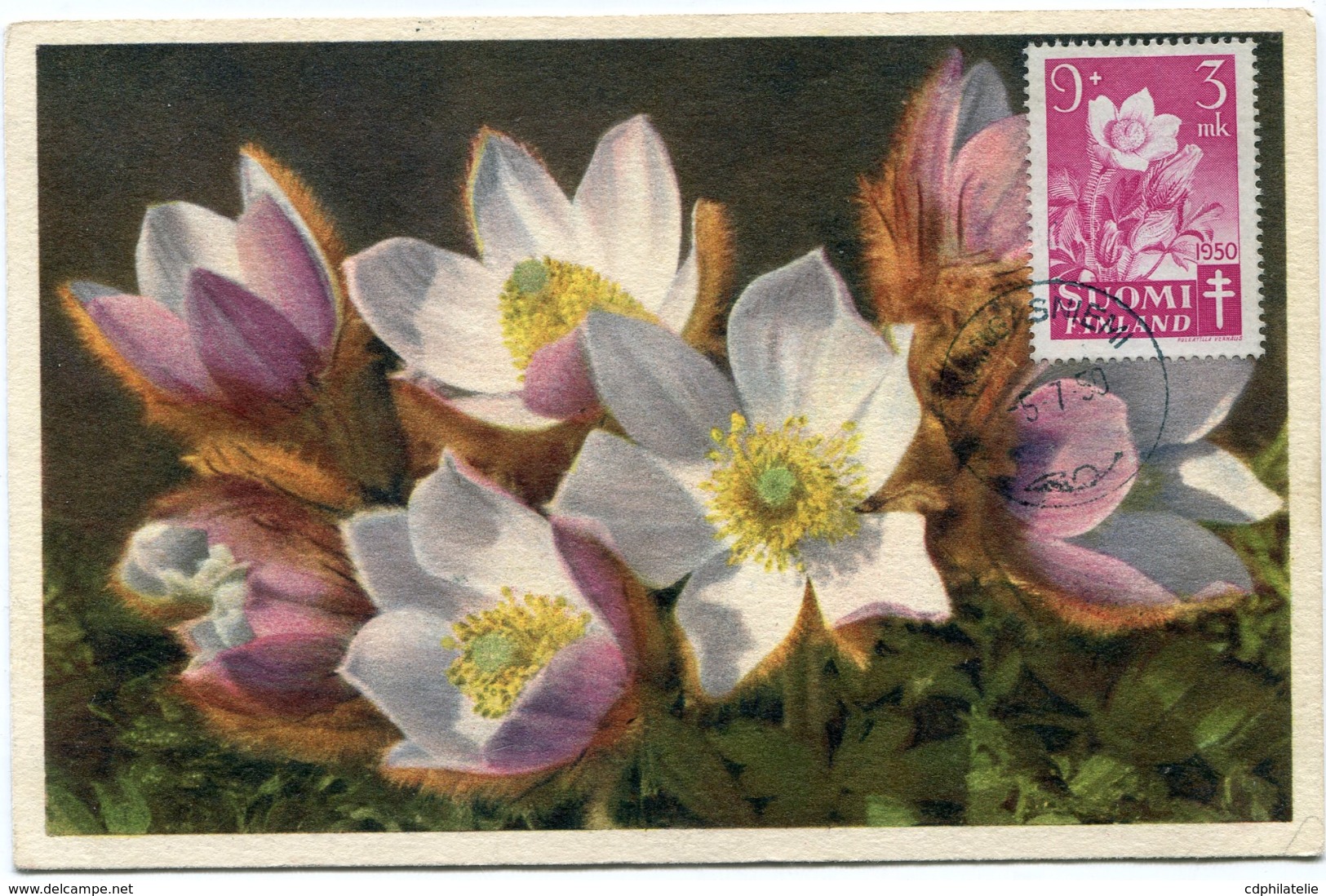 FINLANDE CARTE MAXIMUM DU N°369 FLEURS - Maximum Cards & Covers