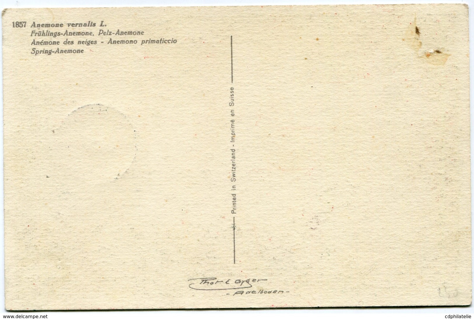 FINLANDE CARTE MAXIMUM DU N°369 FLEURS - Tarjetas – Máximo