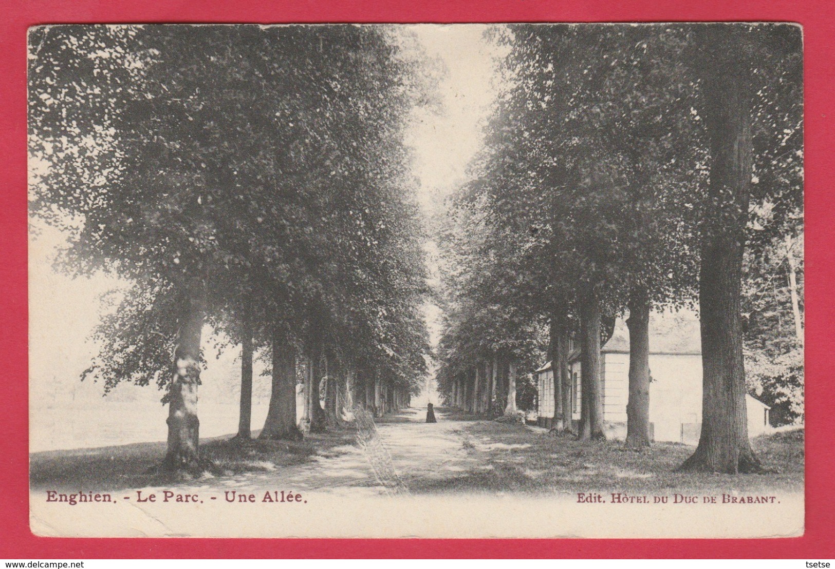 Enghien - Le Parc - Une Allée - 1904 ( Voir Verso ) - Edingen