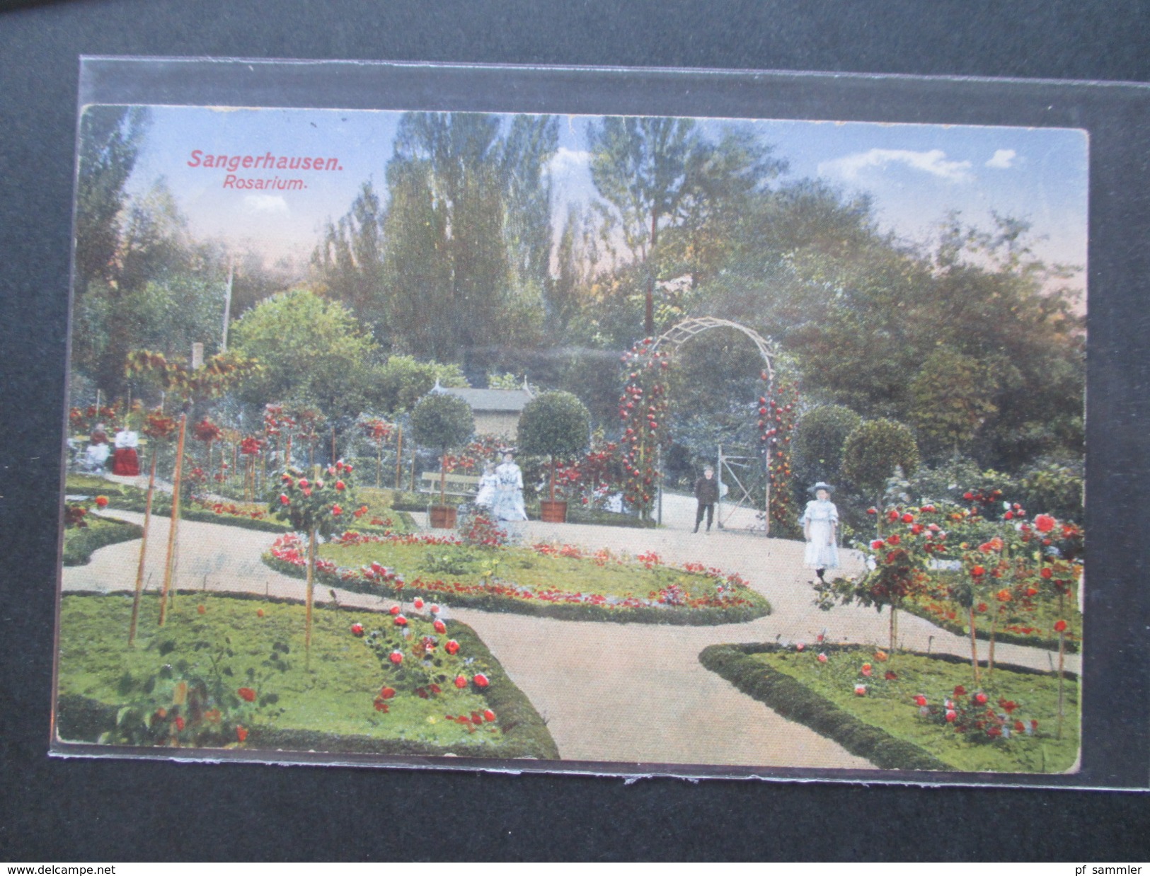 AK 1916 Sangerhausen Rosarium / Rosengarten. Heliocolorkarte Von Ottmar Zieher. + 2 Neue Karten / Neuauflagen!! - Sangerhausen