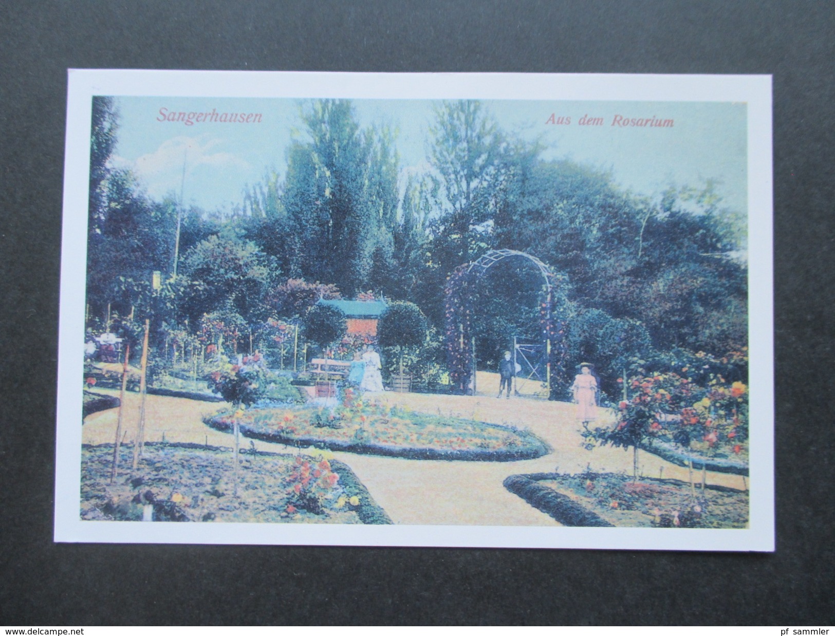 AK 1916 Sangerhausen Rosarium / Rosengarten. Heliocolorkarte von Ottmar Zieher. + 2 neue Karten / Neuauflagen!!