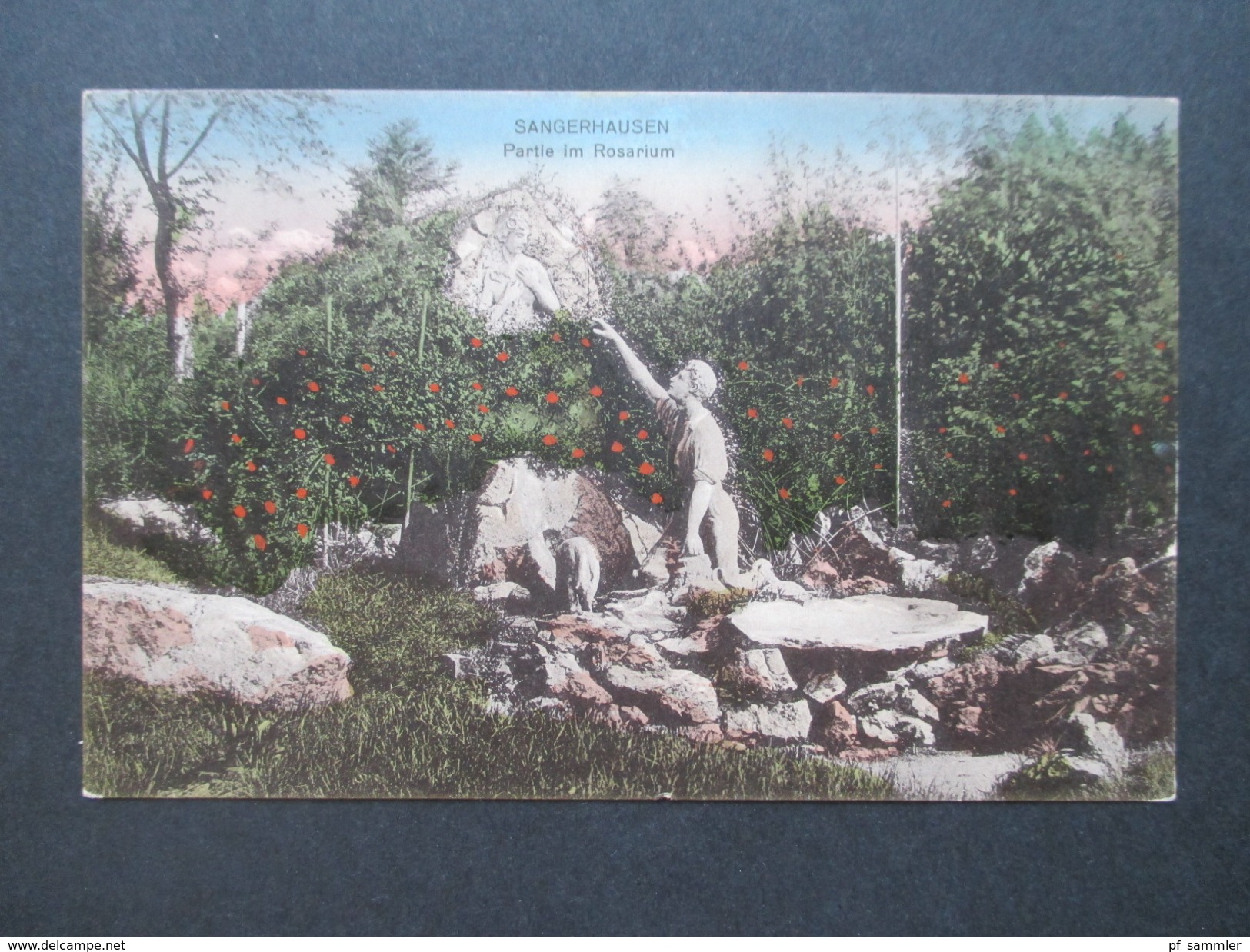 AK 1910er Jahre Sangerhausen Rosarium / Rosengarten. Mitteldeutscher Kunstverlag F. Heberlein, Meerane I. Sa. - Sangerhausen