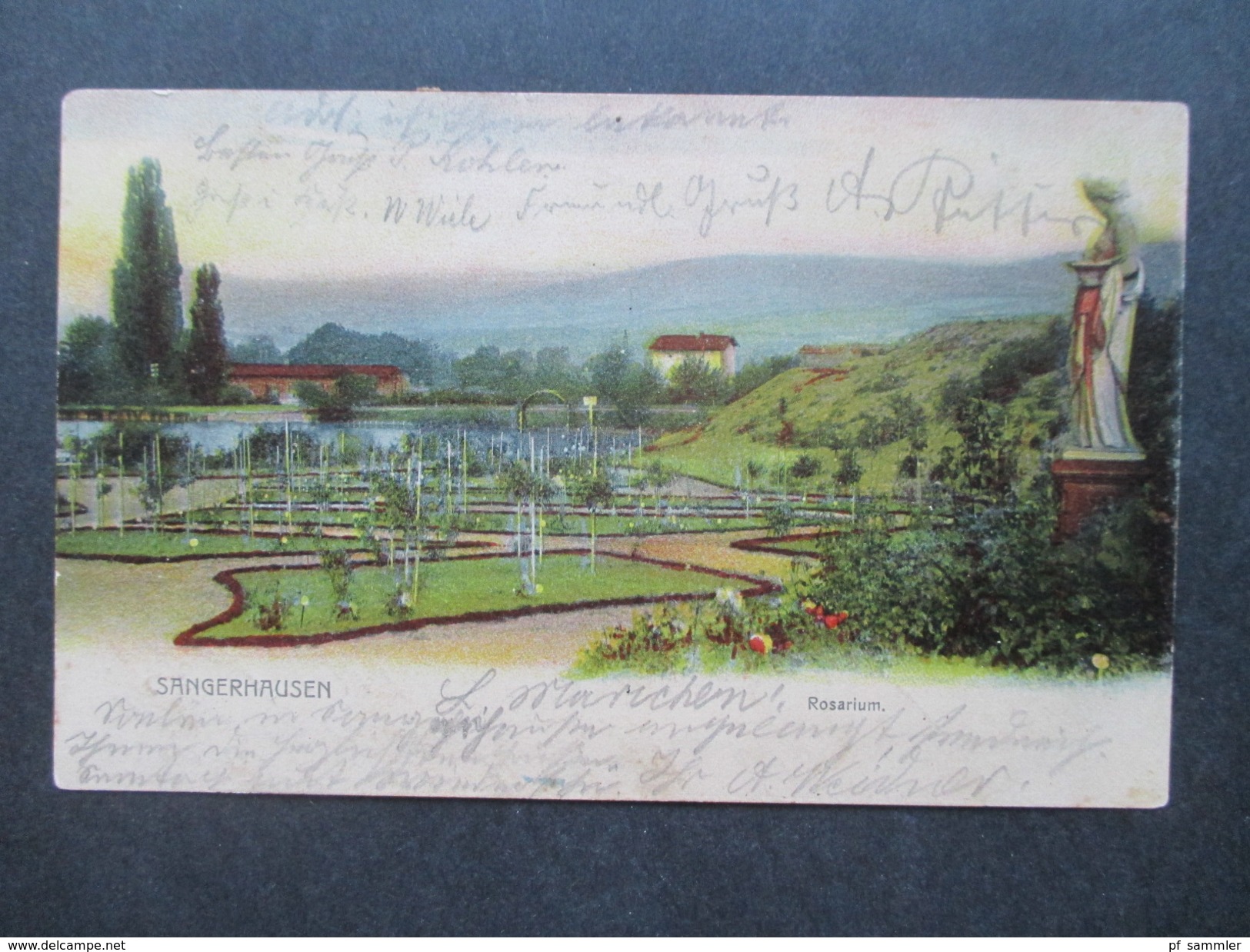 AK 1903 Sangerhausen Rosarium / Rosengarten. Verlag Alexander Hase, Sangerhausen. - Sangerhausen