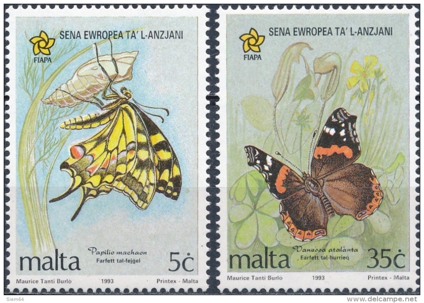 Malta  Butterflies - Mariposas