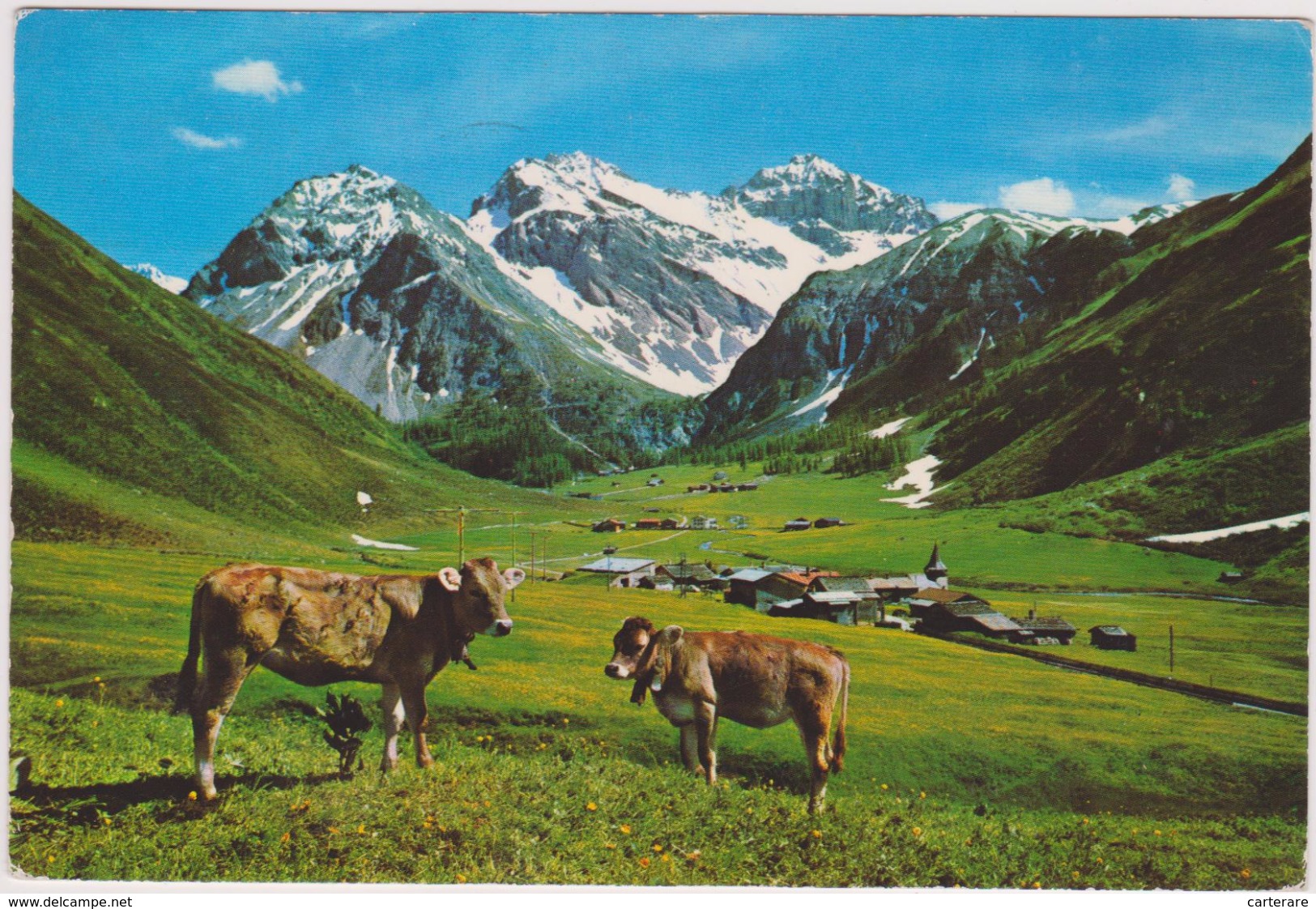 SUISSE,HELVETIA,SWISS,SCHWEIZ,SVIZZERA,DAVOS,VACHE,PRAIRIE - Davos