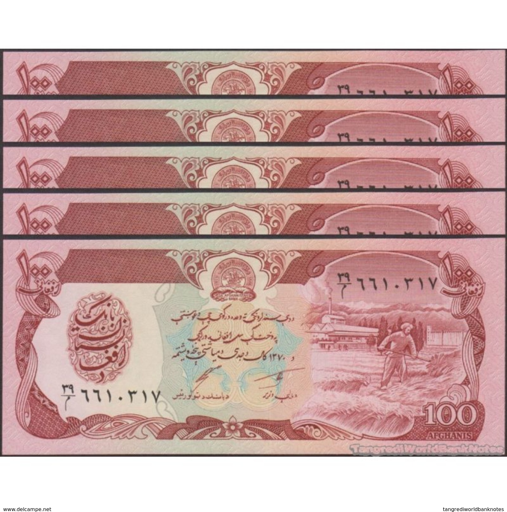 TWN - AFGHANISTAN 58c - 100 Afghanis 1991 UNC DEALERS LOT X 5 - Afghanistan