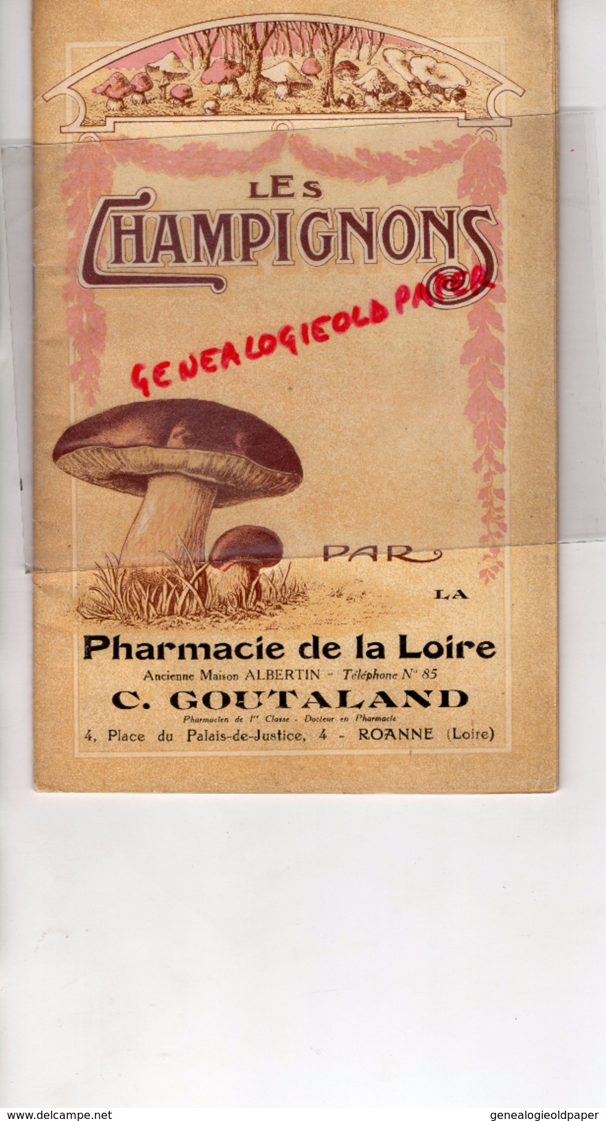 42 - ROANNE - PHARMACIE DE LA LOIRE-ALBERTIN-C. GOUTALAND- LES CHAMPIGNONS - CHAMPIGNON- 4 PLACE PALAIS JUSTICE - Nature