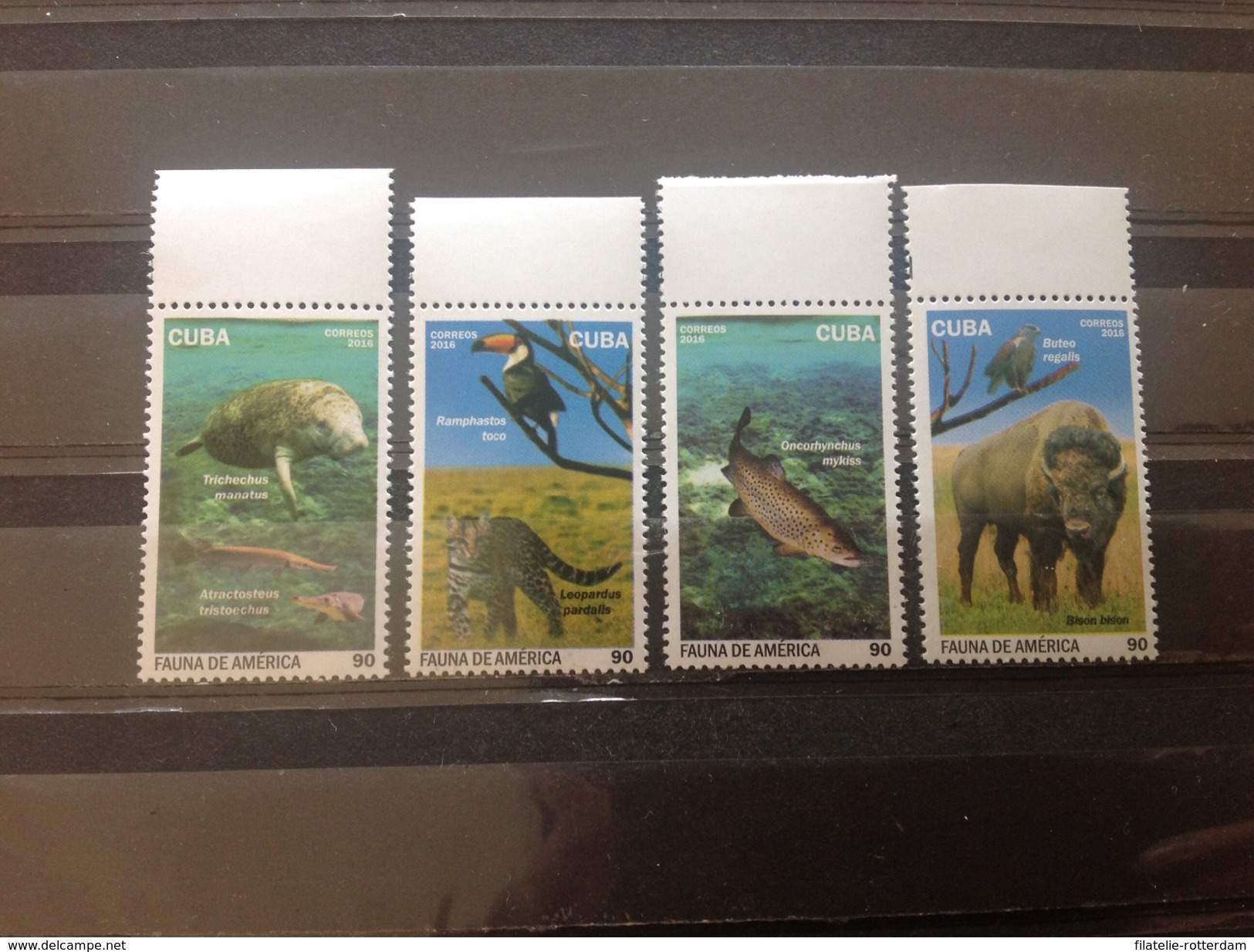 Cuba - Postfris / MNH - Complete Set Fauna In Amerika 2016 - Neufs