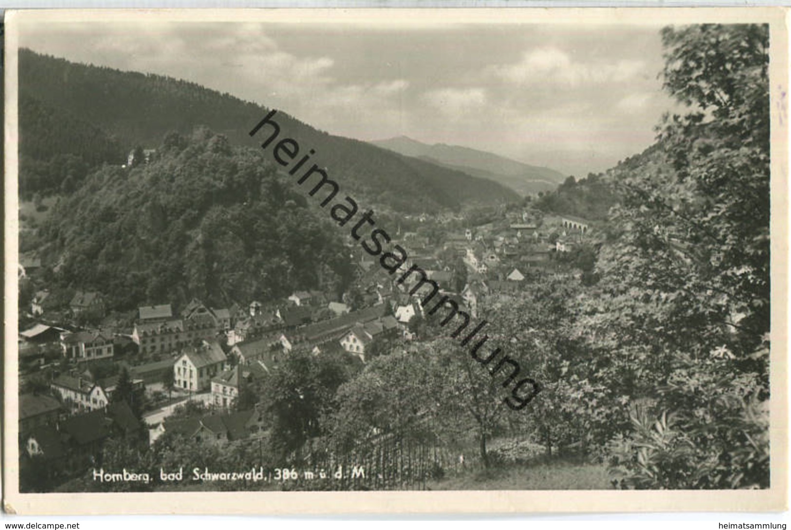 Hornberg - Gesamtansicht - Fotoansichtskarte - Hornberg