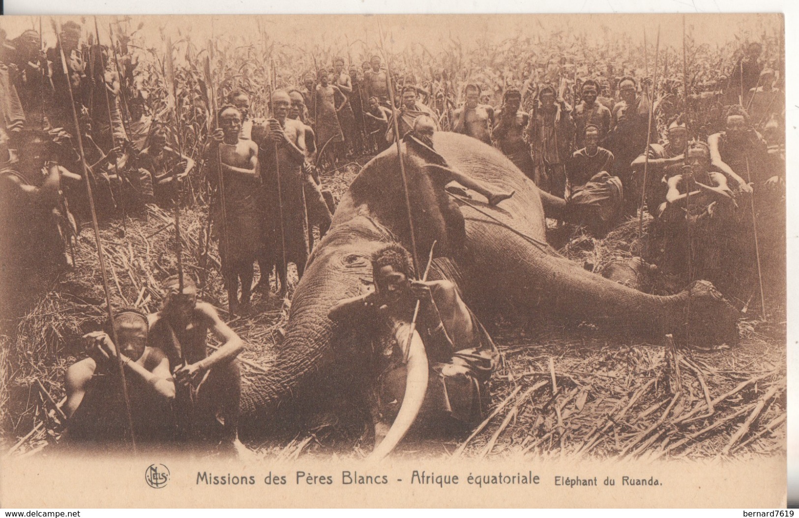 Afrique Equatoriale Ruanda Missions Des Peres Blancs  Elephant Du Ruanda - Ruanda-Urundi