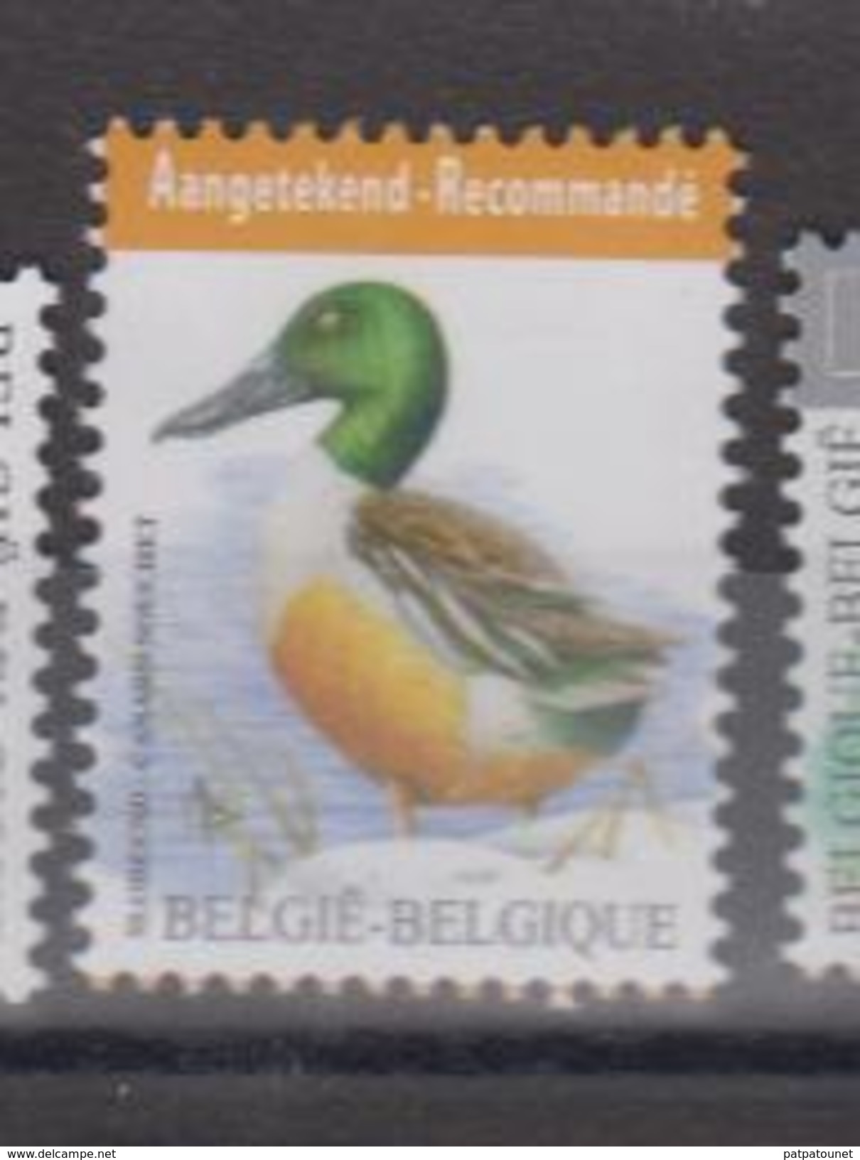 Belgique YV ? N 2015 Souchet - Ducks