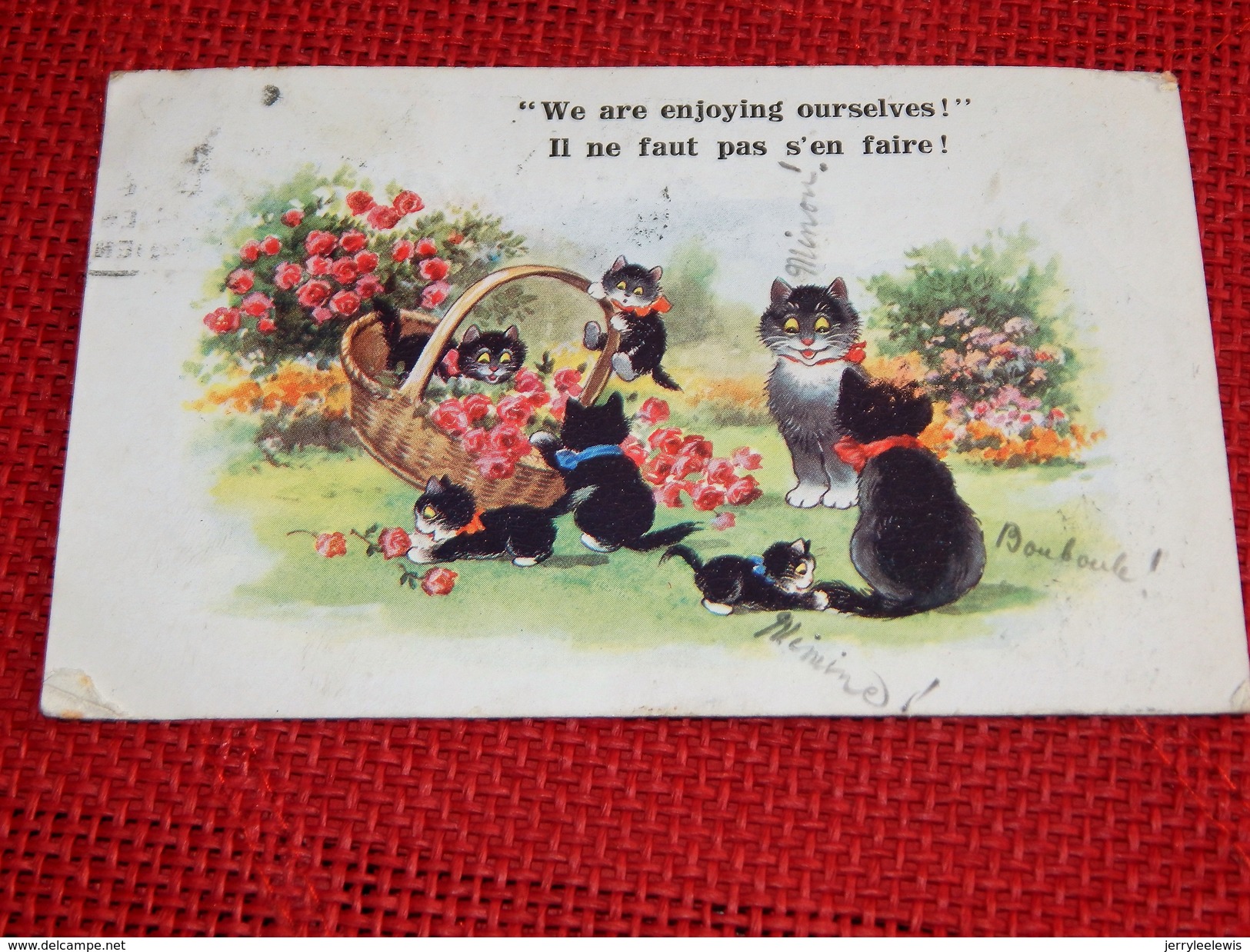 FANTAISIES  - CHATS  -  " Il Ne Faut Pas S'en Faire" - "We Are Enjoying Ourselves"   - ( " Comique " Séries ) - Geklede Dieren