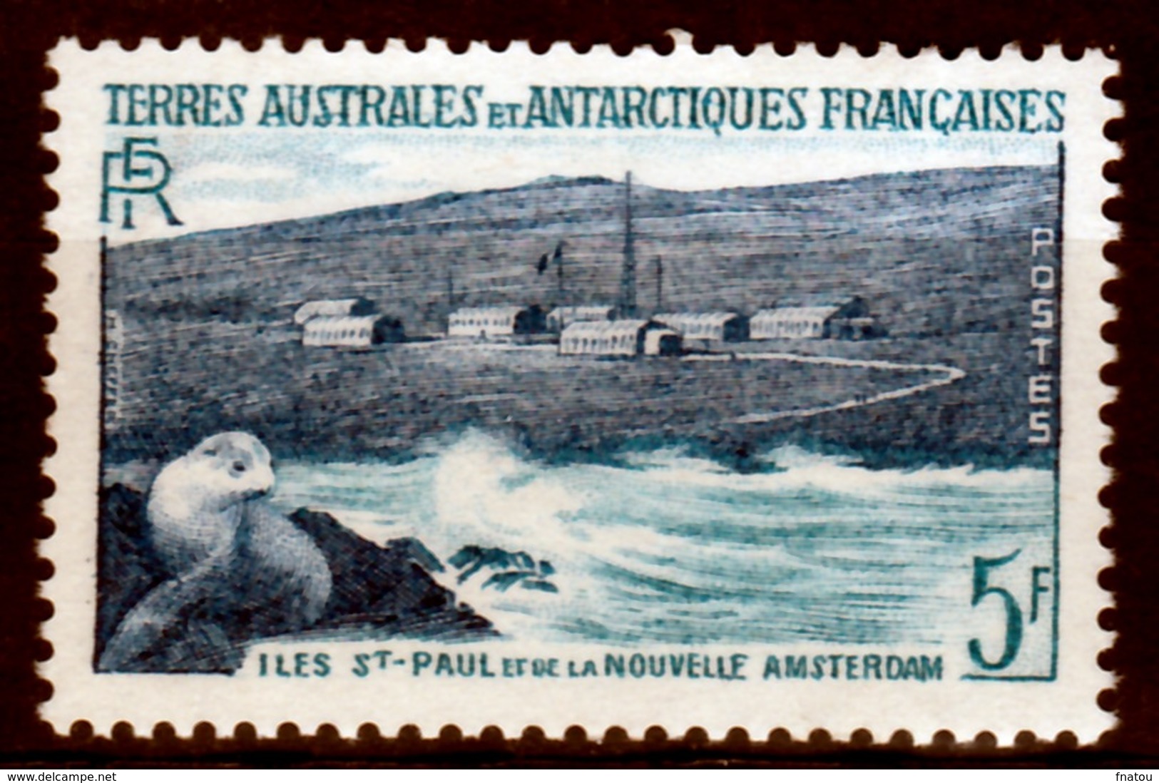French Antarctic (FSAT), Eared Seal, St-Paul And Amsterdam Islands, 5f, 1956, MNH VF - Unused Stamps