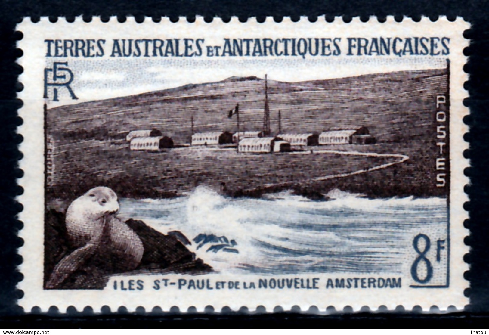 French Antarctic (FSAT), Eared Seal, St-Paul And Amsterdam Islands, 8f, 1956, MNH VF - Nuevos