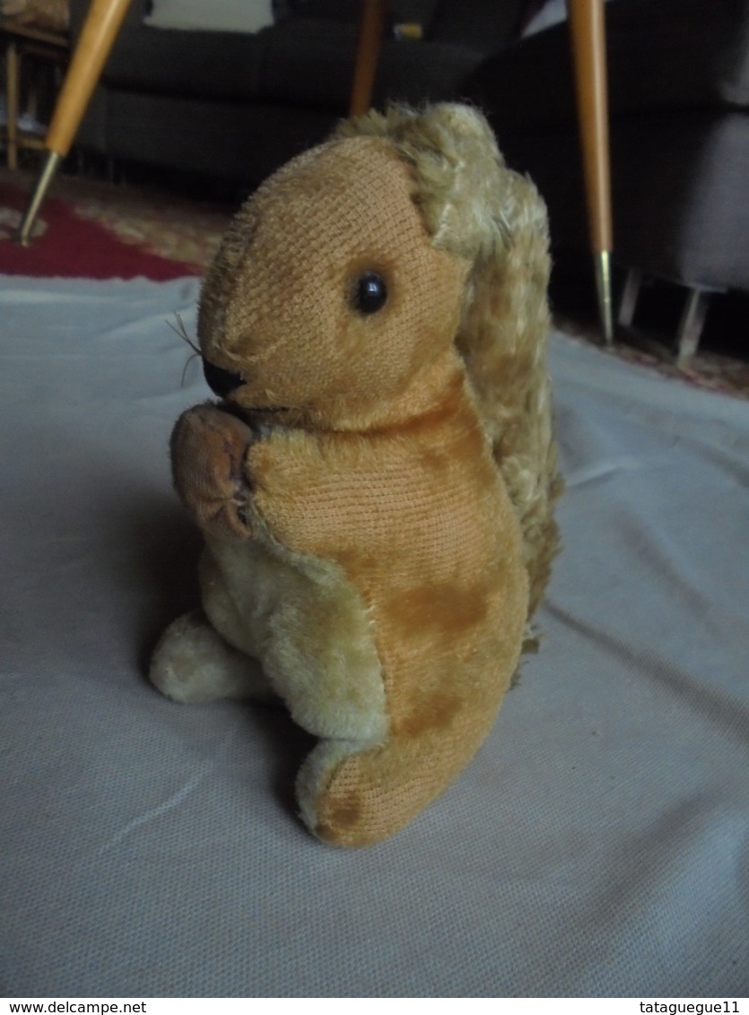 Ancien  - Petit écureuil En Peluche Années 50 Allemagne - Peluche