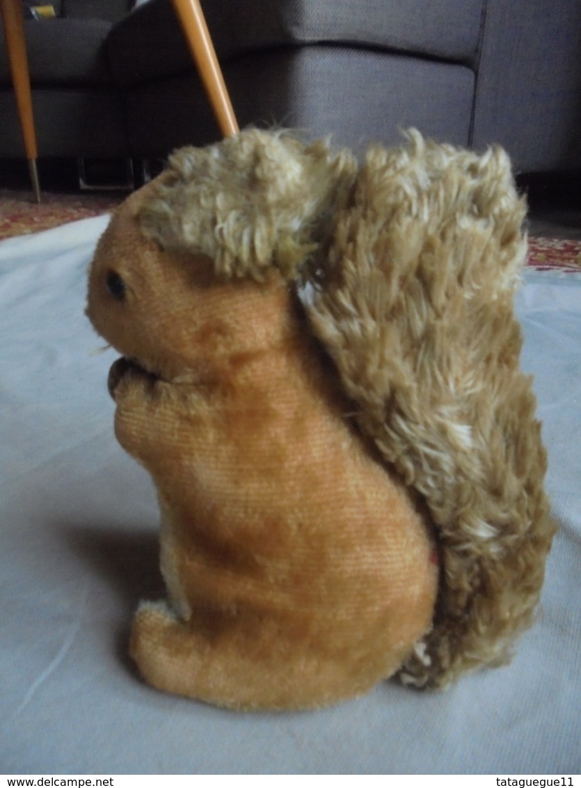 Ancien  - Petit écureuil En Peluche Années 50 Allemagne - Peluche