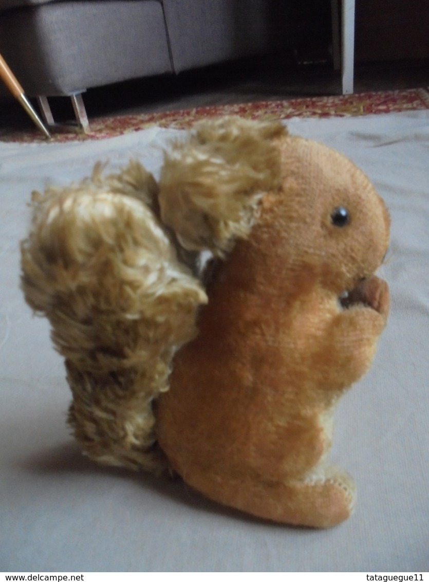 Ancien  - Petit écureuil en peluche Années 50 Allemagne