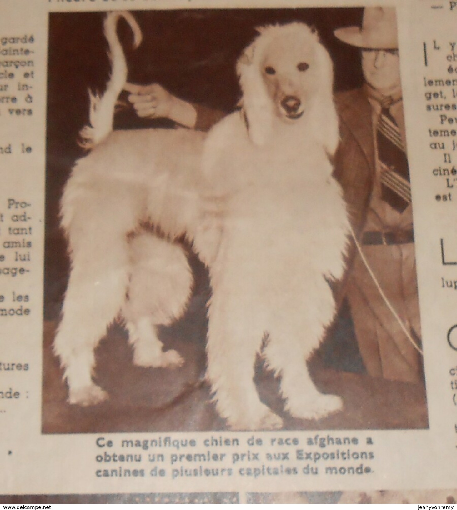 Voilà. N°362. 25 Février 1938. Les Pupazzi Italiens. Chasseurs De Baleines. Yvon Pétra, Champion De Tennis. - 1900 - 1949