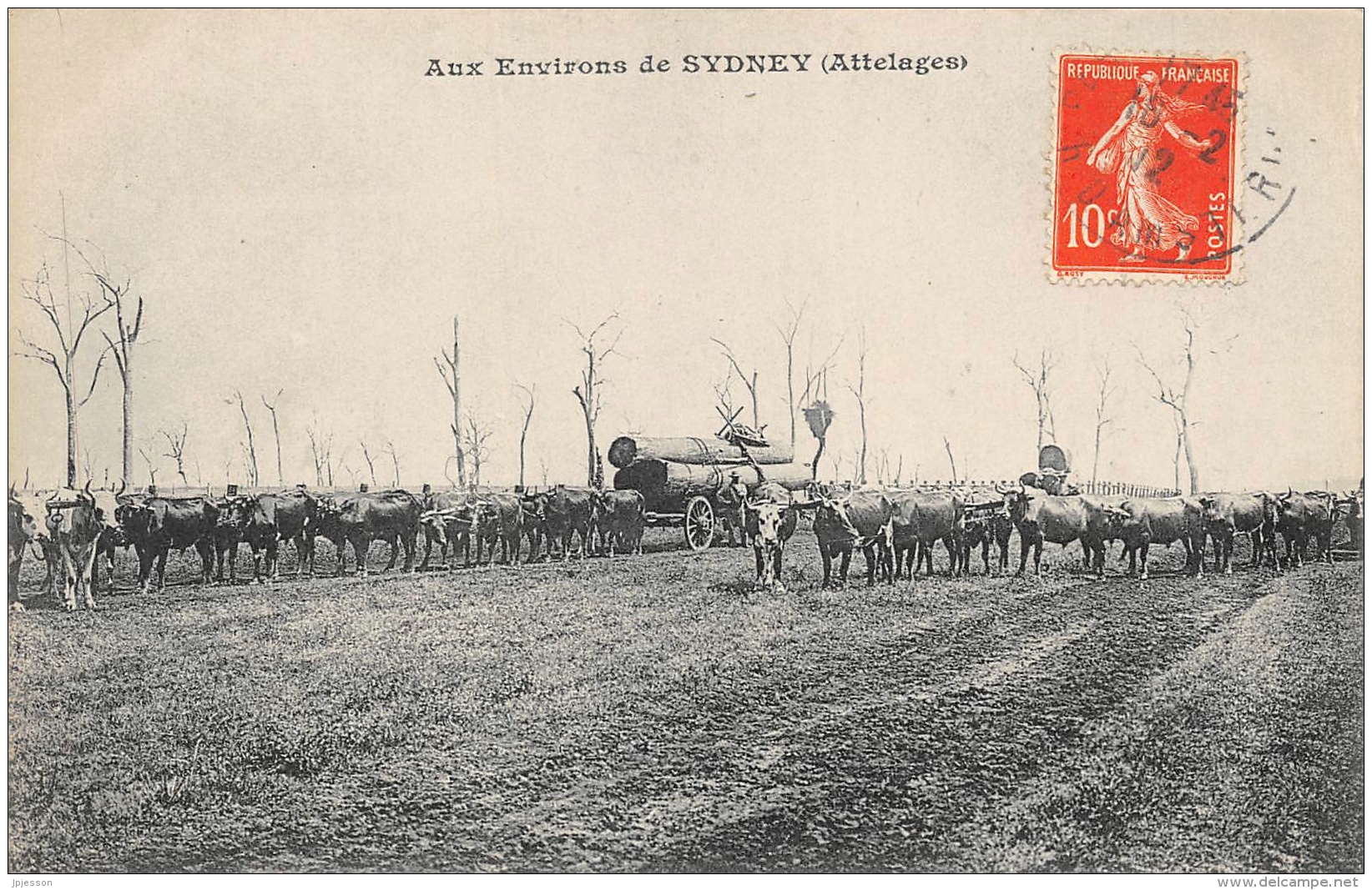 AUSTRALIE   AUX ENVIRONS DE SIDNEY  (ATTELAGES)  EDITION DES MESSAGERIES MARITIMES - Sydney