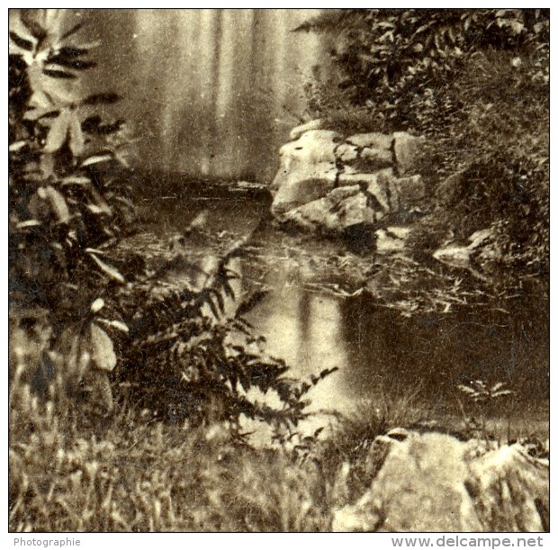 Royaume Uni Derbyshire Buxton Serpentine Walks Dame Sur Un Pont Rustique Anciennne Photo Stereo 1865 - Stereoscopic