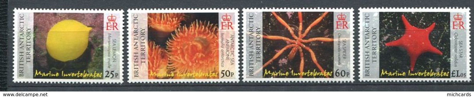 196 ANTARCTIQUE BRITANNIQUE (BAT) 2007 - Yvert 447/50 - Faune Marine Invertebre - Neuf ** (MNH) Sans Trace De Charniere - Neufs