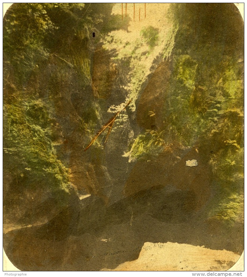 Royaume Uni Ecosse Finnich Glen Pres De Loch Lomond Anciennne Photo Stereo John Cramb 1860 - Photos Stéréoscopiques