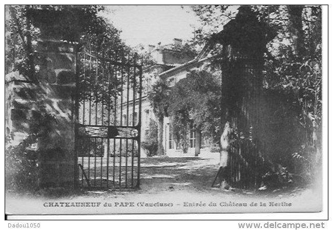 CPSM 84 Chateauneuf Du Pape - Chateauneuf Du Pape