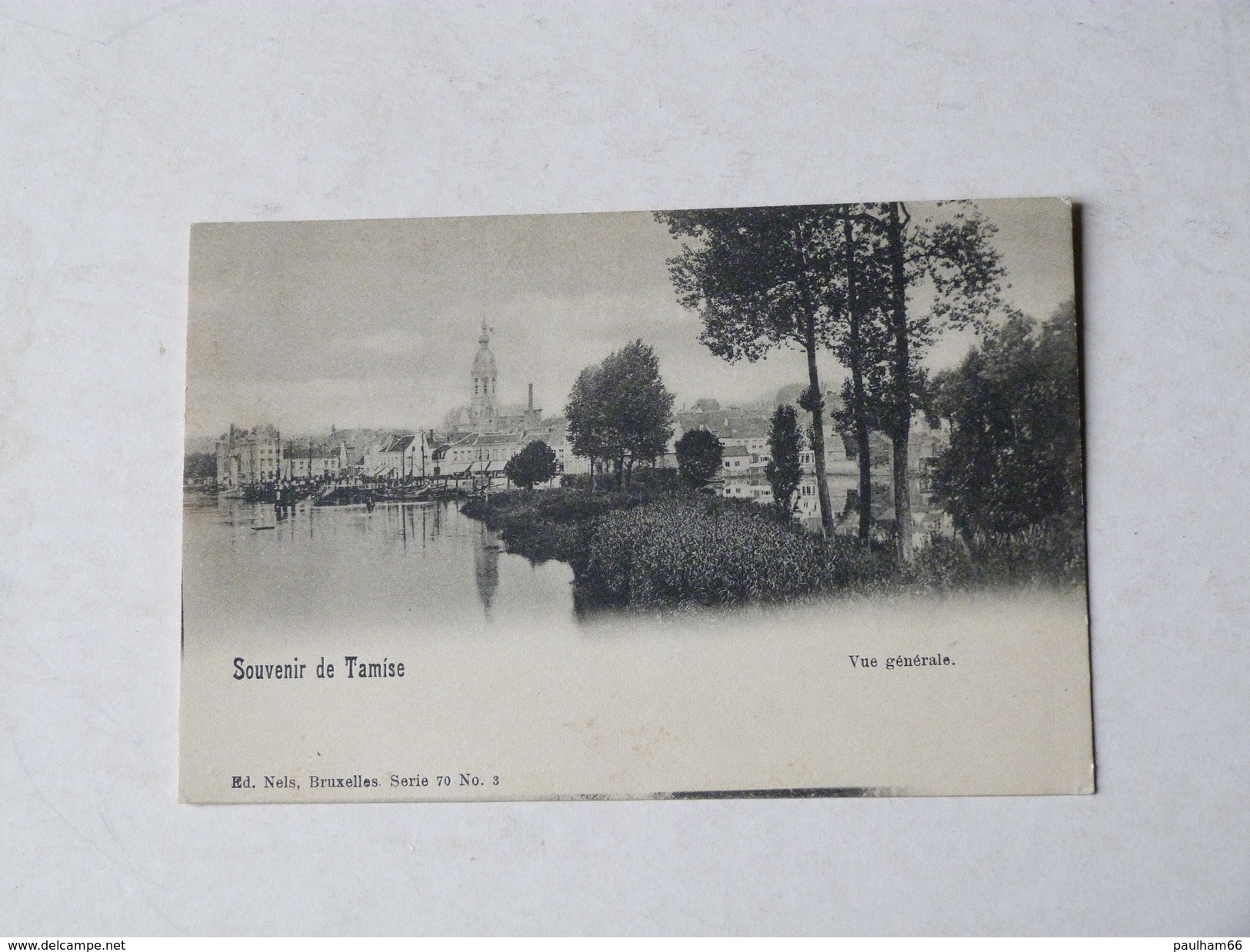 SOUVENIR DE TAMISE    VUE GENERALE - Temse