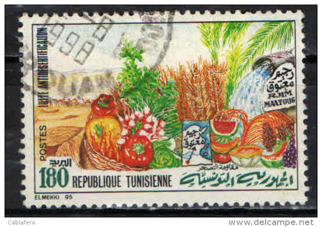 TUNISIA - 1995 - CAMPAGNA CONTRO LA DESERTIFICAZIONE - USATO - Tunisia (1956-...)