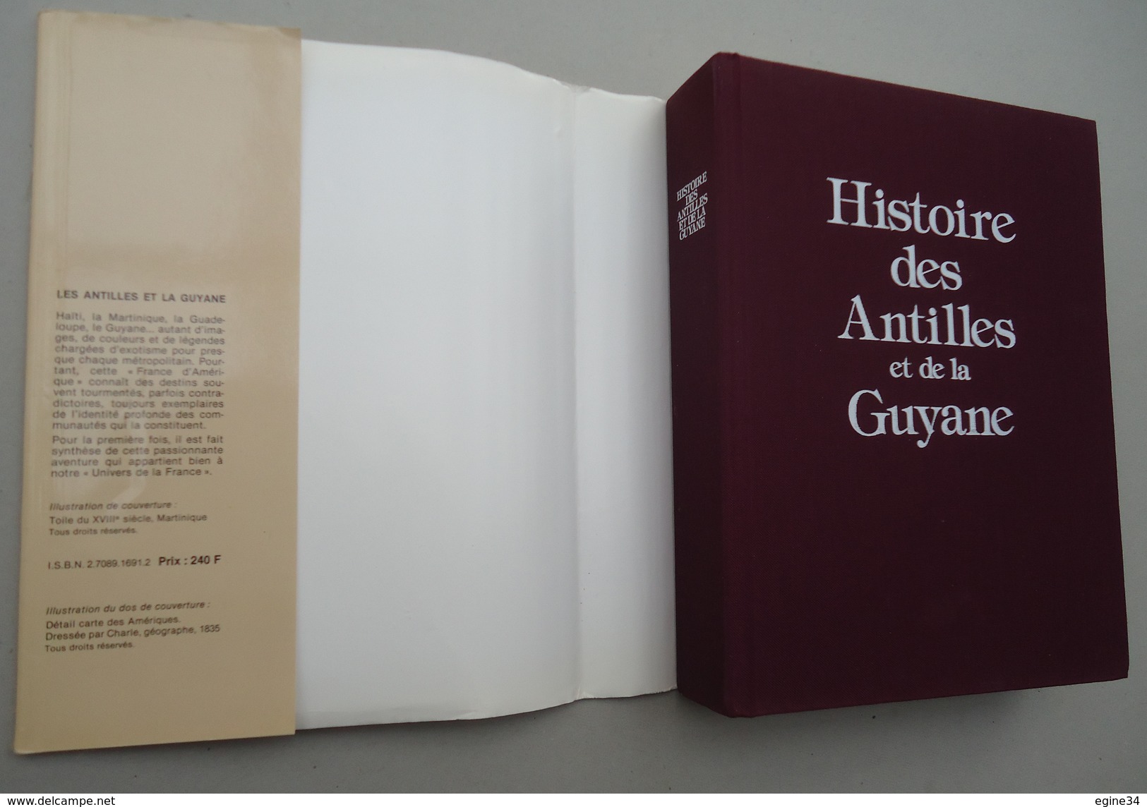 Editions Privat - P. Pluchon - Histoire Des Antilles Et De La Guyane - Martinique/Guadeloupe/Haïti/Guyane - Outre-Mer