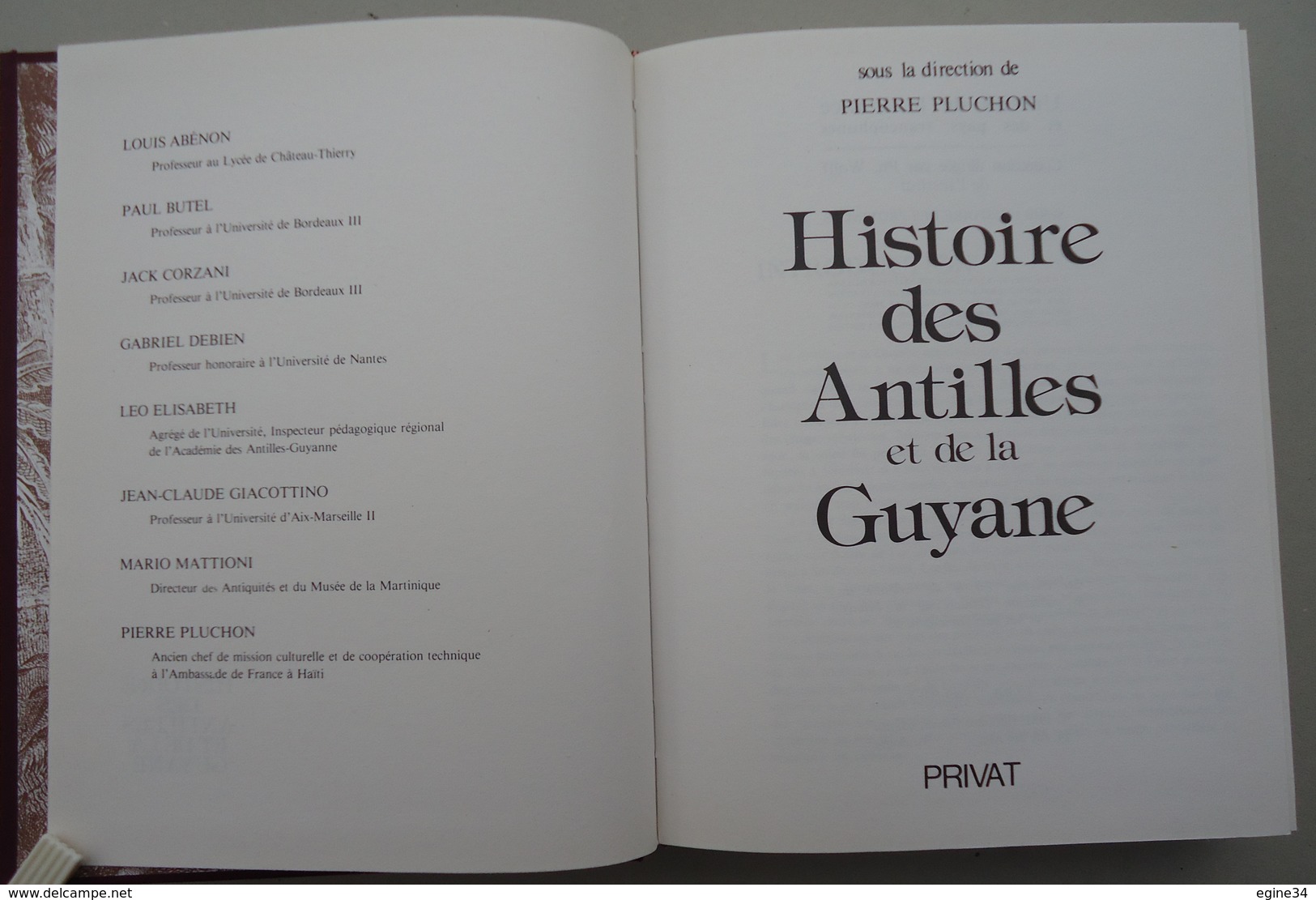 Editions Privat - P. Pluchon - Histoire Des Antilles Et De La Guyane - Martinique/Guadeloupe/Haïti/Guyane - Outre-Mer