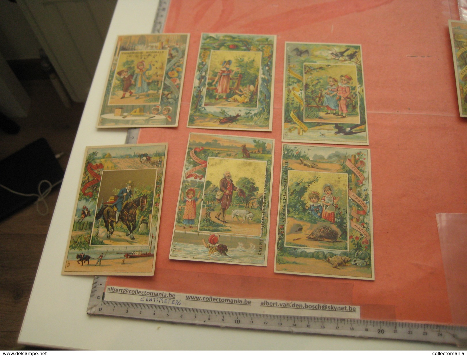 12 Litho Trade Cards Compl Set237  CR 2-2-11 Impr Courbe Rouzet PUB C1880 Animals Escargot Viper Chocolat MAGNIEZ Amiens - Autres & Non Classés